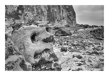 ae_2024_12_11_4065_bw_390x260px