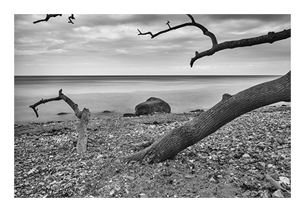 ae_2025_06_04_5463_bw_390x260px